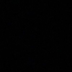 Meet your Posher, Autumn